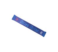Aries - Écharpe Rose Bleue - Homme - Accessoires - Bleu - Taille: ONE Size