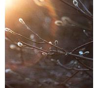 Aries Project the - English Ghosts [Import]