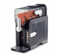 Ariete Compresseur pour sorbetière 0655/00 – 2,6 L, 200 W – Acier inoxydable et Noir