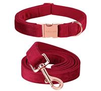 ARING PET Collier et Laisse en Velours pour Chien - Collier et Laisse pour Chien - Réglable - en Velours Doux - avec Boucle en métal - pour Chiens de Petite, Moyenne et Grande Taille