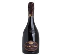 Ariola Marcello Lambrusco Langhirano Dry