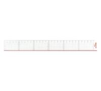 Aristo AR-15430 Règle de coupe 30cm Plexiglas Avec Côté En Acier