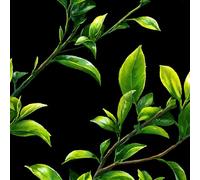 ARiXIaNg Papier peint Feuilles épais mat à décoller et à colle 44x1000 cm Usine Meubles Autocollants Amovible Comptoir Contact Papier Stickers Muraux pour Bains Salon Chambre