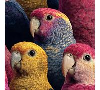 ARiXIaNg Papier peint Perroquet épais mat à décoller et à colle 44x1000 cm Animaux Kawaii Meubles Autocollants Amovible Comptoir Contact Papier Stickers Muraux pour Bains Salon Chambre