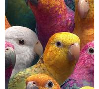 ARiXIaNg Papier peint Perroquet épais mat à décoller et à colle 44x200 cm Animaux Kawaii Meubles Autocollants Amovible Comptoir Contact Papier Stickers Muraux pour Bains Salon Chambre