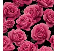 ARiXIaNg Papier peint Roses Roses épais mat à décoller et à colle 44x1000 cm Romantique Meubles Autocollants Amovible Comptoir Contact Papier Stickers Muraux pour Bains Salon Chambre