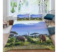 ARiXIaNg Parure De Lit 220x240 cm Adulte 3D Motif éléphant Housse De Couette Microfibre 2 Personnes avec Fermeture Éclair Afrique Animaux 3 pièces avec 2 Taies d'oreiller 50x75