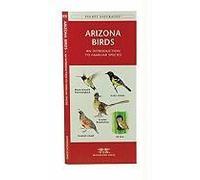 Arizona Birds: A Folding Pocket Guide To Familiar Species
