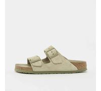 Arizona SFB LEVE vert 37