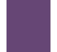 ARK Lot de 10 feuilles de papier cartonné coloré Format A4 240 g/m² Violet