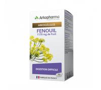Arkopharma Arkogélules Fenouil 45 gélules végétales