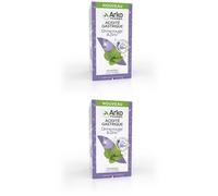 ARKOPHARMA Arkocapsules Acidité Gastrique Orme rouge & Zinc Capsule(S) 2x40 pc(s)