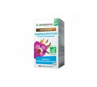 Arkopharma Arkogélules Harpagophytum Mobilité Et Souplesse Articulaire Bio 45 Gélules