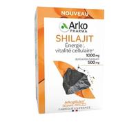 Arkopharma Arkogélules Shilajit Énergie et vitalité cellulaire 38 g