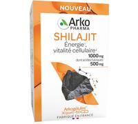 Arkopharma Arkogélules Shilajit Énergie et vitalité cellulaire 38 g