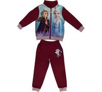 Arlis Ensemble jogging Frozen Disney Sweet de couleurs contrastées, image de héros devant. Finitions élastiquées