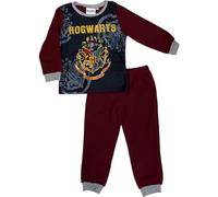 arlis Ensembles jogging Harry Potter - Ensemble Jogging Polyester Harry Potter (FR/ES, Âge, 5 ans, Taille normale, bordeaux-D)