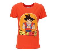 Fantaisie Dragon Ball Z - T-Shirt à Manches Courtes Dragon Ball Z (FR/ES, Âge, 10 Ans, Taille Normale, Short Sleeve T-Shirt Dragon Ball - C)
