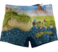 Maillots de Bain Gigantosaurus - Boxer De Bain Gigantosaure (FR/ES, Âge, 5 Ans, 6 Ans, Taille Normale, Boxer De Bain Gigantosaure - A)