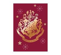 arlis Plaid Polaire Harry Potter 100 X 140 Cm (Plaid Polaire Harry Potter)