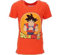 arlis T-Shirt Dragon Ball Adulte