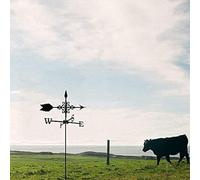 arlote Ornement de Girouette en Métal Exquis Girouette en Métal avec Ornement
