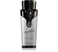 Armaf Magnificent Pour Homme Eau de Parfum pour homme 100 ml