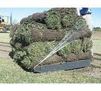 Armar Trading LTD Rouleau de filet élastique flexible pour palettes 50 cm/500 m