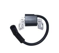 Armature De Bobine d'allumage-magnéto adaptée au Moteur 84005272 798534 799582 593872 593381 Cortador De Grama