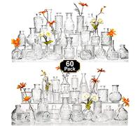 Arme Lot de 60 Petits vases en Verre Transparent pour Fleurs, centres de Table de Mariage rustiques et décorations Vintage, Parfaits pour la Maison, la Table et Les événements avec Un Design élégant