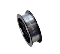 armeriaonline Ligne fluorocarbone 0.25 0.35 Fil de pêche transparent 150 mètres invisible moulinet Spinning pêche esturgeon truite canne à pêche mesure : 0,40 mm