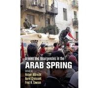 Armies and Insurgencies in the Arab Spring Armies and Insurgencies in the Arab Spring (Auteur)