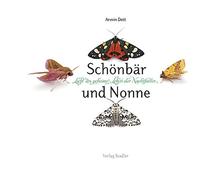 Armin Dett Schönbär und Nonne: Licht ins geheime Leben der Nachtfalter: (Relié)