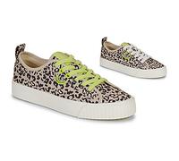 Armistice Baskets basses STOMP SNEAKER in Multicolore 40