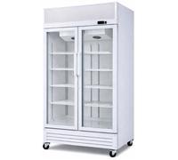 Générique Armoire à Boissons Réfrigérée Professionnelle 2 Portes Vitrées avec Canopy - 736 Litres