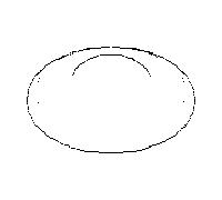 armoire à glace Dornbracht 093030062-06 D=24MM-M10x1 IT -, platine mat t