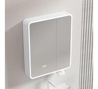 Armoire à pharmacie moderne à LED avec miroir anti-buée à fixation murale pour économiser de l'espace avec étagères élégantes pour les solutions de rangement essentielles de salle de bain.