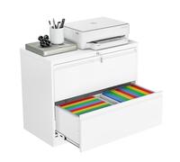 Armoire de Bureau en Acier - Commode 2 Tiroirs, Buffet, Placard de Rangement - Meuble de Classement pour Chambre, Salon, Entrée - 90x40x103 cm Blanc