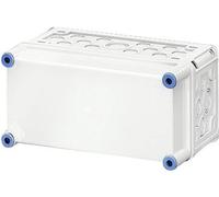 Armoire de commande - Boîter vide Hensel Mi 0101 2000007 gris clair (RAL 7035) 150 x 300 x 170 PC 1 pc(s)