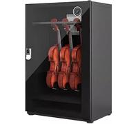 Armoire De Déshumidification pour Violon en Acier épais, Boîte De Séchage avec Verrouillage par Mot De Passe, 181 L, A