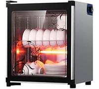 Armoire de désinfection double couche en acier inoxydable, stérilisateur haute température pour cuisine, salle de bain, et utilisation professionnelle, désinfection efficace pour divers articles