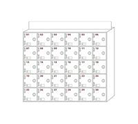 Armoire de Rangement Murale en Acrylique pour téléphones Portables, casier à 30 emplacements avec serrures et clés, Solution de Rangement sécurisée pour téléphones Portables et AUT