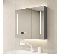 Armoire de Salle de Bain à LED avec Fonction antibuée, Miroir cosmétique Suspendu Moderne avec Commande Tactile Intelligente, Option 3 Couleurs