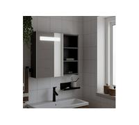 vidaXL Armoire de salle de bain à miroir avec LED noir 60x13x52 cm, armoire de toilette avec miroir, armoire murale avec 357971 Noir G