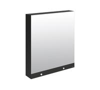 Armoire De Toilette Delabie miroir 3 fonctions, électronique, secteur, avec essuie-mains 800x1000x223mm Mélaminé noir mat 510210