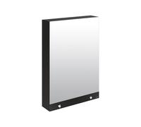 Armoire De Toilette Delabie miroir 3 fonctions, électronique, secteur, avec sèche-mains 600x1000x223mm Mélaminé noir mat 510207