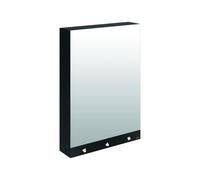 Armoire De Toilette Delabie miroir 4 fonctions, électronique, secteur, avec essuie-mains 600x1000x223mm Mélaminé noir mat 510205
