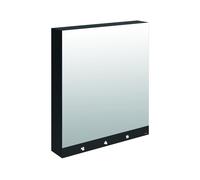 Armoire De Toilette Delabie miroir 4 fonctions, électronique, secteur, avec sèche-mains 800x1000x223mm Mélaminé noir mat 510204