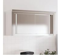 vidaXL Armoire Murale de Cuisine avec Portes Coulissantes, Placard Suspendu avec Compartiment, Meuble de Rangement Restaurant, INOX