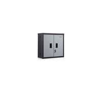 VEVOR Armoire murale pliable de garage 66 cm petite 109 kg